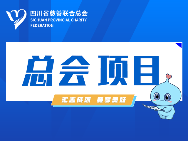 四川省慈善联合总会“9·5”泸定地震慈善捐赠资金接受使用情况